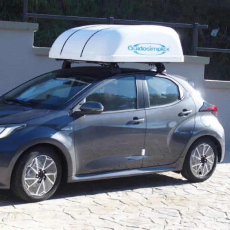 C-Tran Wheelchair Storage Roof Box Guidosimplex