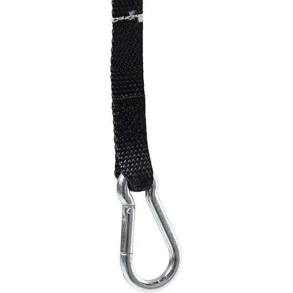 Carolift 40 Boot Hoist 40kg Braunability