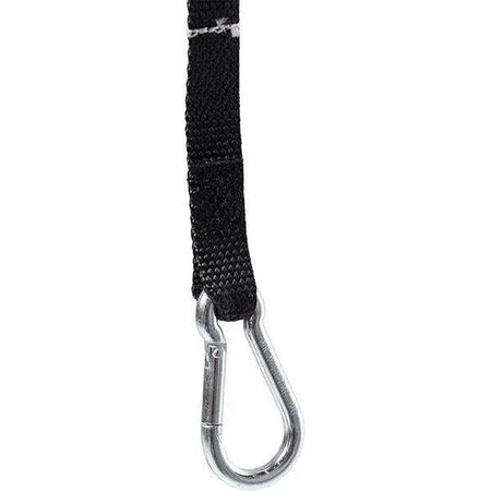 Carolift 40 Boot Hoist 40kg Braunability